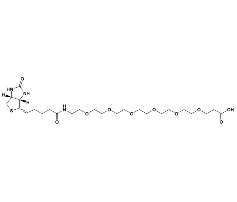 生物素-PEG6-羧酸