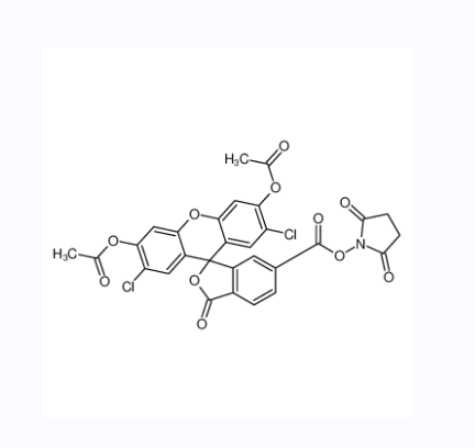 6-羧基-2’,7’-二氯荧光素3’,6’-二乙酸酯琥珀酰亚胺基酯