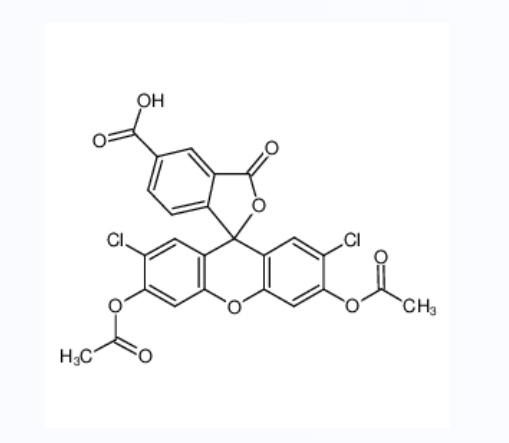 5[6]-羧基-2',7'-二氯荧光素二乙酸酯