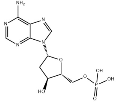 2'-脱氧腺苷-5'-单磷酸