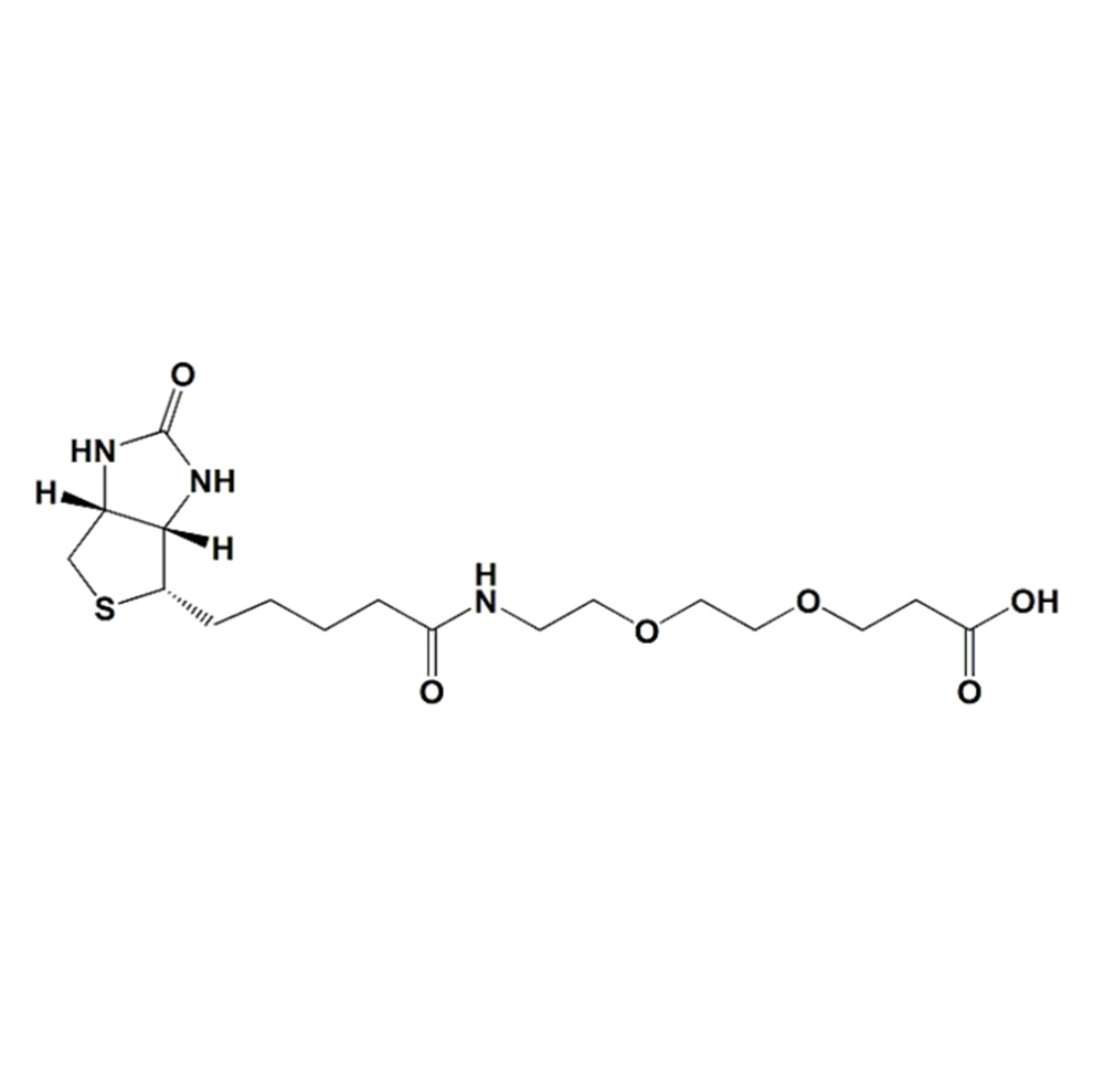 生物素-PEG2-羧酸