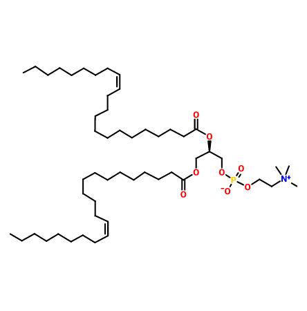 1,2-二芥酰-SN-甘油-3-磷酰胆碱