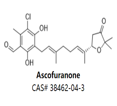 Ascofuranone