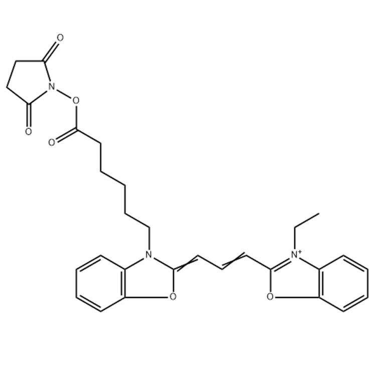 花青素CY2琥珀酰亚胺酯
