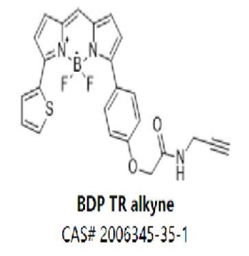 BDP TR alkyne
