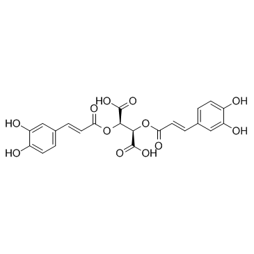 天然提取高纯度菊苣酸98≥HPLC