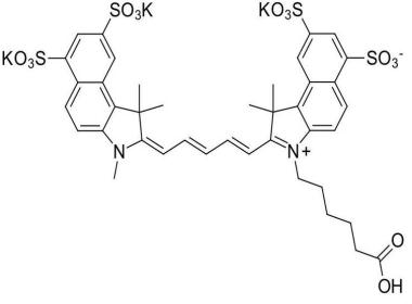 Sulfo-Cyanine5.5 carboxylic acid,cas:2183440-68-6 (inner salt)