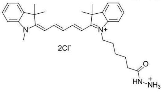 Sulfo-Cyanine5.5 hydrazide