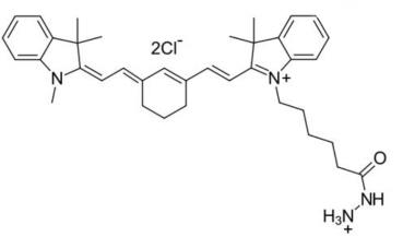 Cyanine7-酰肼