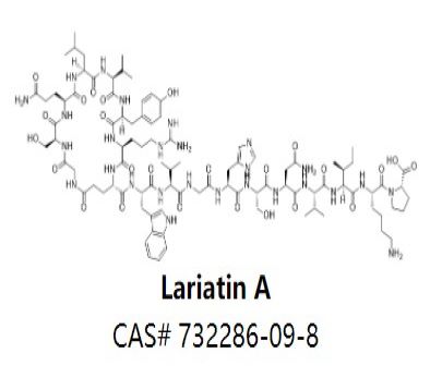 Lariatin A