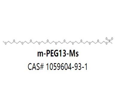 m-PEG13-Ms