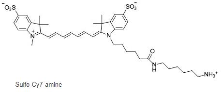 磺化CY7氨基，Sulfo-Cyanine7 amine，cas:2236573-39-8