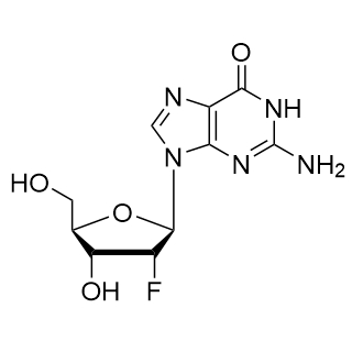 2'-氟-2'-脱氧鸟苷(2'-F-dG)