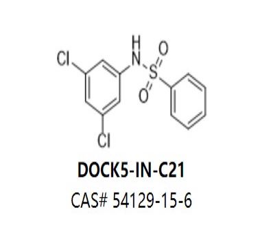 DOCK5-IN-C21