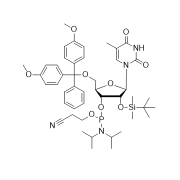 5-Me-rU 亚磷酰胺单体