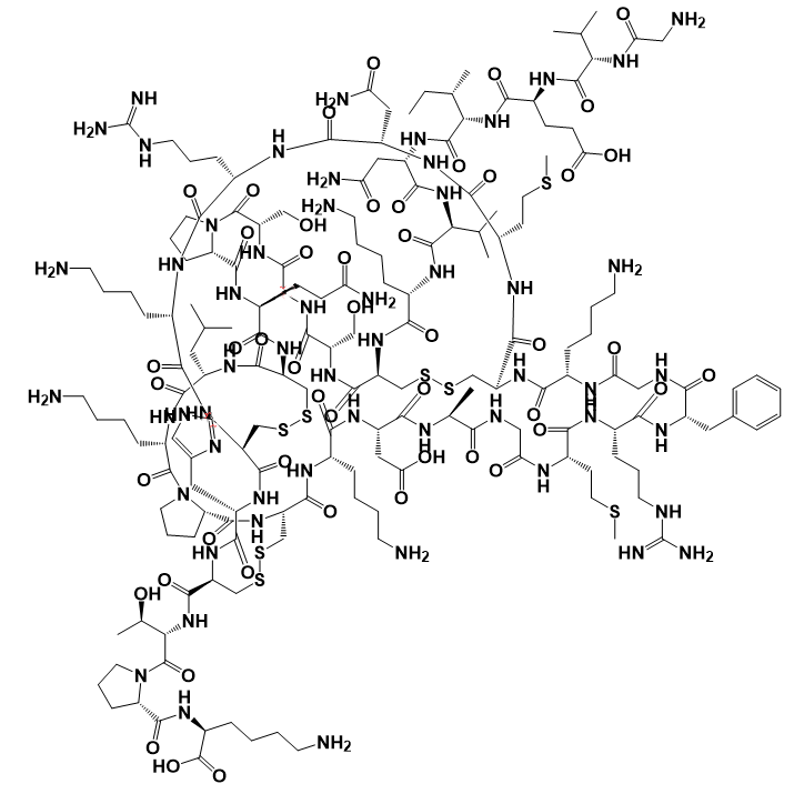 强效阻断剂Kaliotoxin