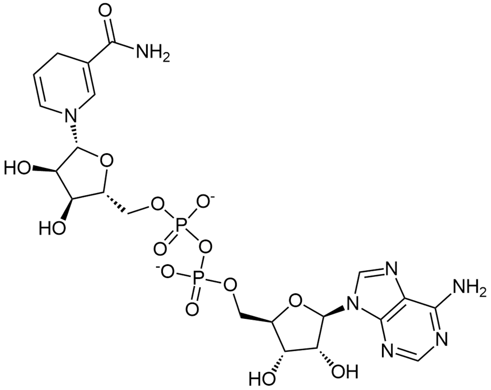 还原型烟酰胺腺嘌呤二核苷酸二钠盐