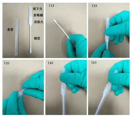ATP采样棉拭子