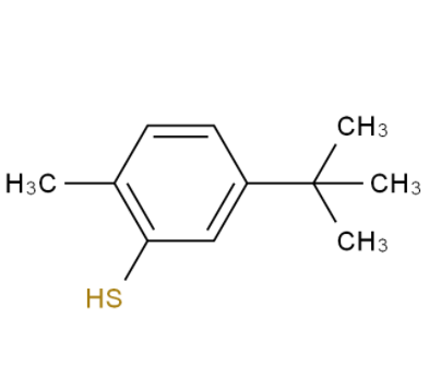 2-甲基-5-叔丁基噻吩