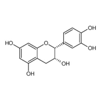 表儿茶素