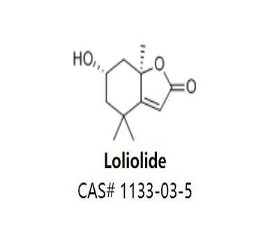 Loliolide