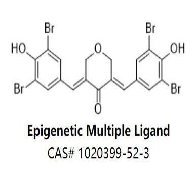 Epigenetic Multiple Ligand