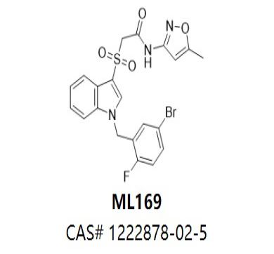 ML169