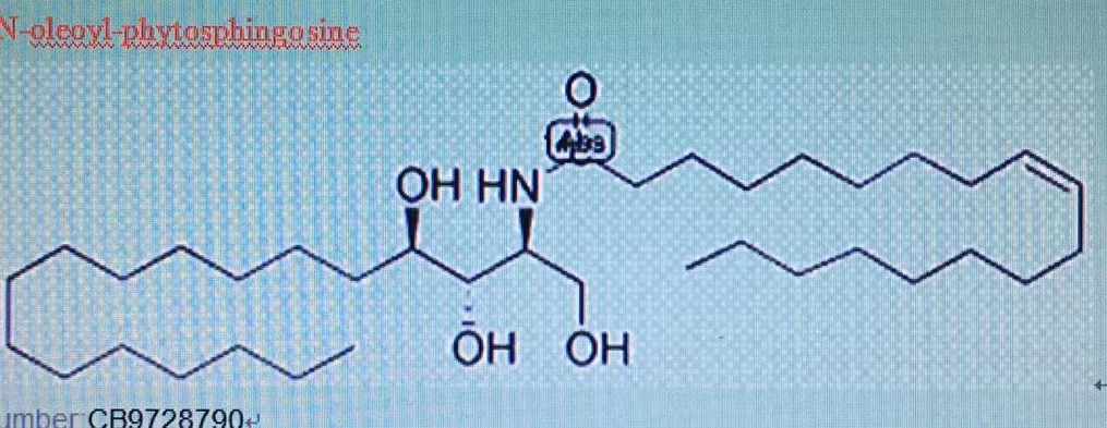 神经酰胺3B