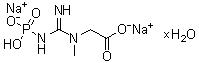 CAS 登录号：19333-65-4, 磷酸肌酸二钠盐水合物