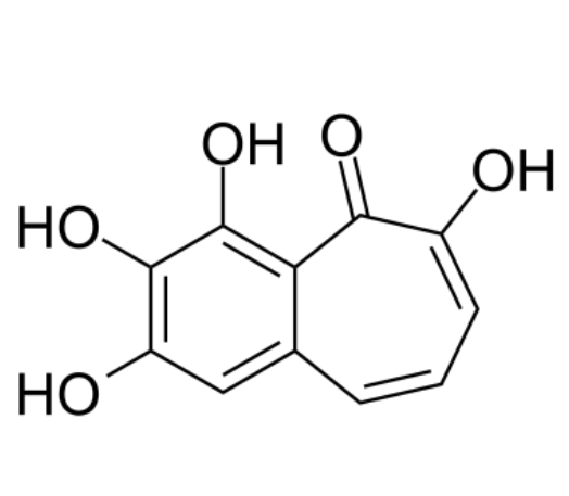 红陪酚