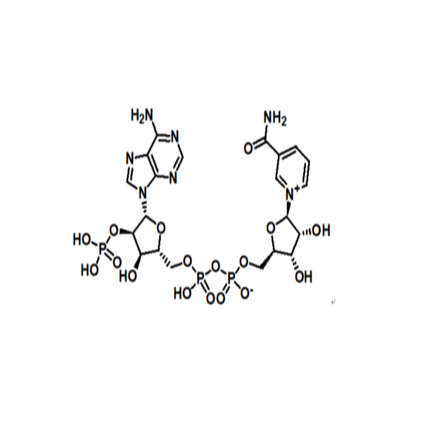 烟酰胺腺嘌呤双核苷酸磷酸盐