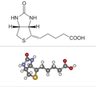 ICG-PEG-Biotin吲哚菁绿-聚乙二醇-生物素