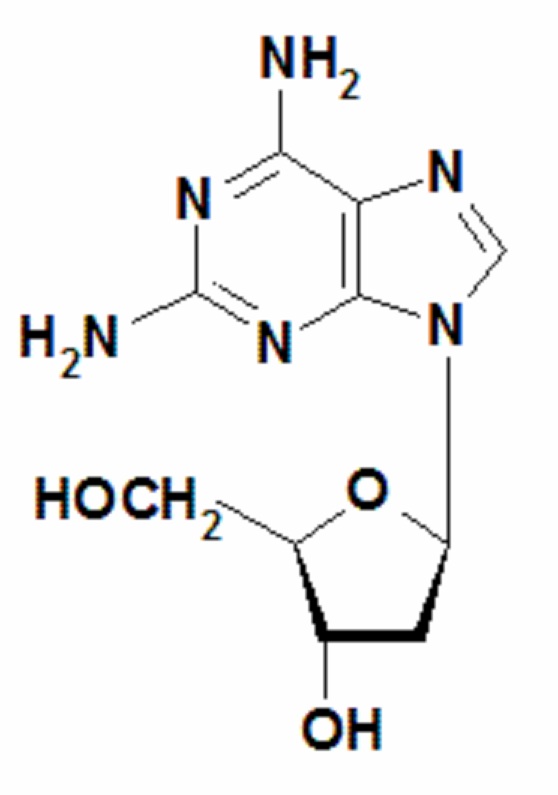 2,6-二氨基嘌呤-2’-脱氧核苷