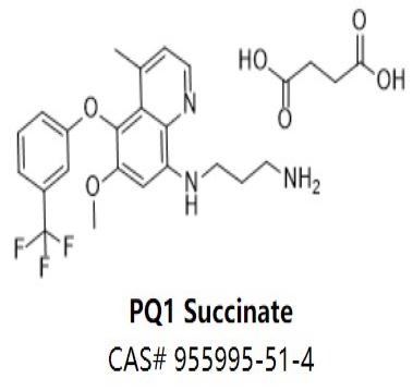 PQ1 Succinate