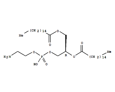 DPPE-ICG 二棕榈酰基磷脂酰乙醇胺-吲哚菁绿
