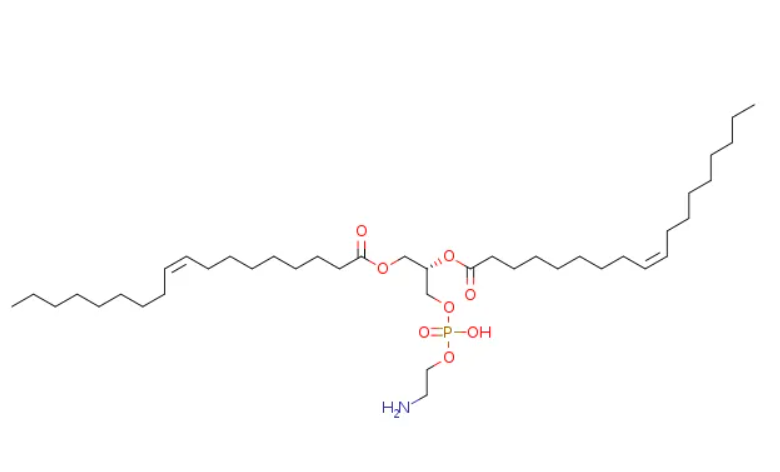 ICG-PEG-DOPE 二油酰基磷脂酰乙醇胺-聚乙二醇-吲哚菁绿