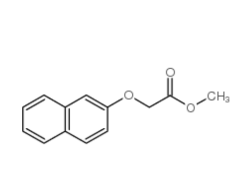 2-萘乙酸甲酯