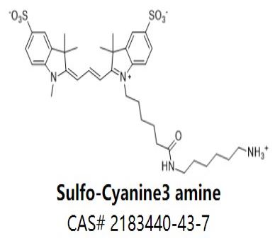 Sulfo-Cyanine3 amine