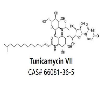 Tunicamycin VII