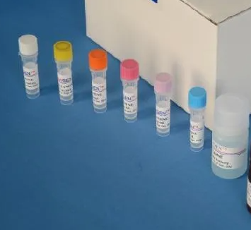 人α半乳糖苷酶(αGAL)Elisa试剂盒