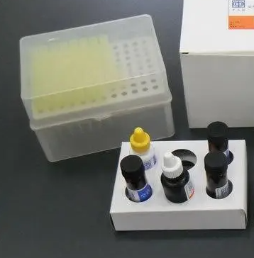 人α烯醇化酶(α-enolase)Elisa试剂盒