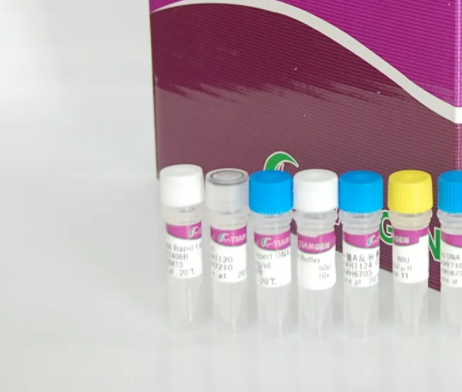 人八聚体转录因子(OTF2B)Elisa试剂盒