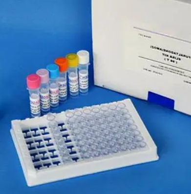 人胎儿血红蛋白(HBF)Elisa试剂盒