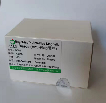 人锚蛋白(ankyrin)Elisa试剂盒