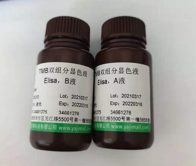 人尿素酶相关蛋白C(UreC)Elisa试剂盒