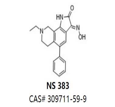 NS 383