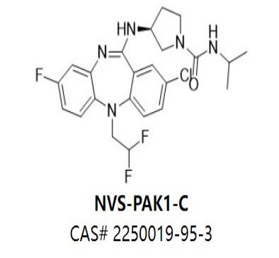 NVS-PAK1-C