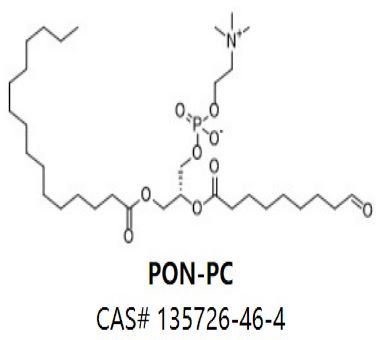 PON-PC