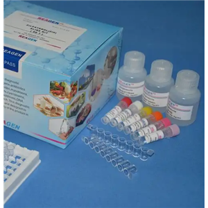 人血纤蛋白(Fibrin)Elisa试剂盒