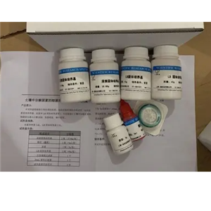 人溶酶体相关膜蛋白2(HLAMP-2)Elisa试剂盒
